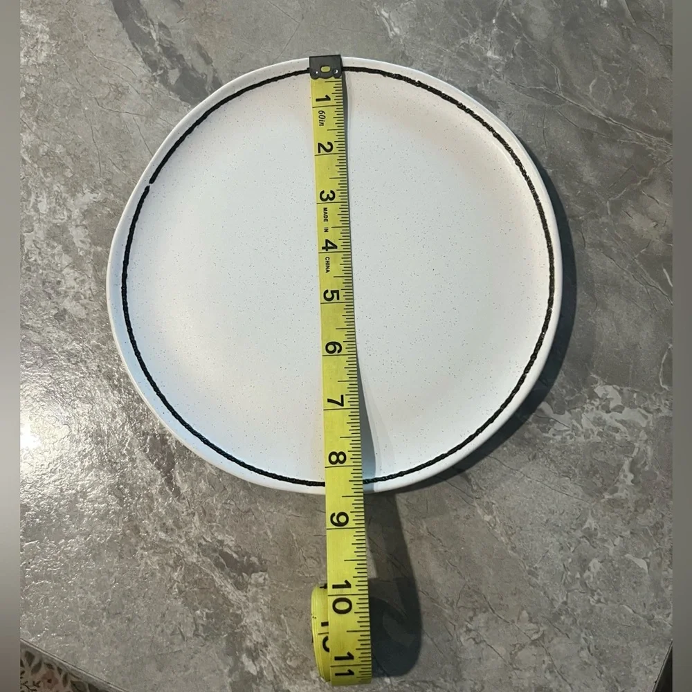 Crate & Barrel “Range” Dinner Plate Set(2)